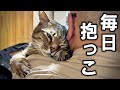 毎日抱っこな元野良猫ピースケ