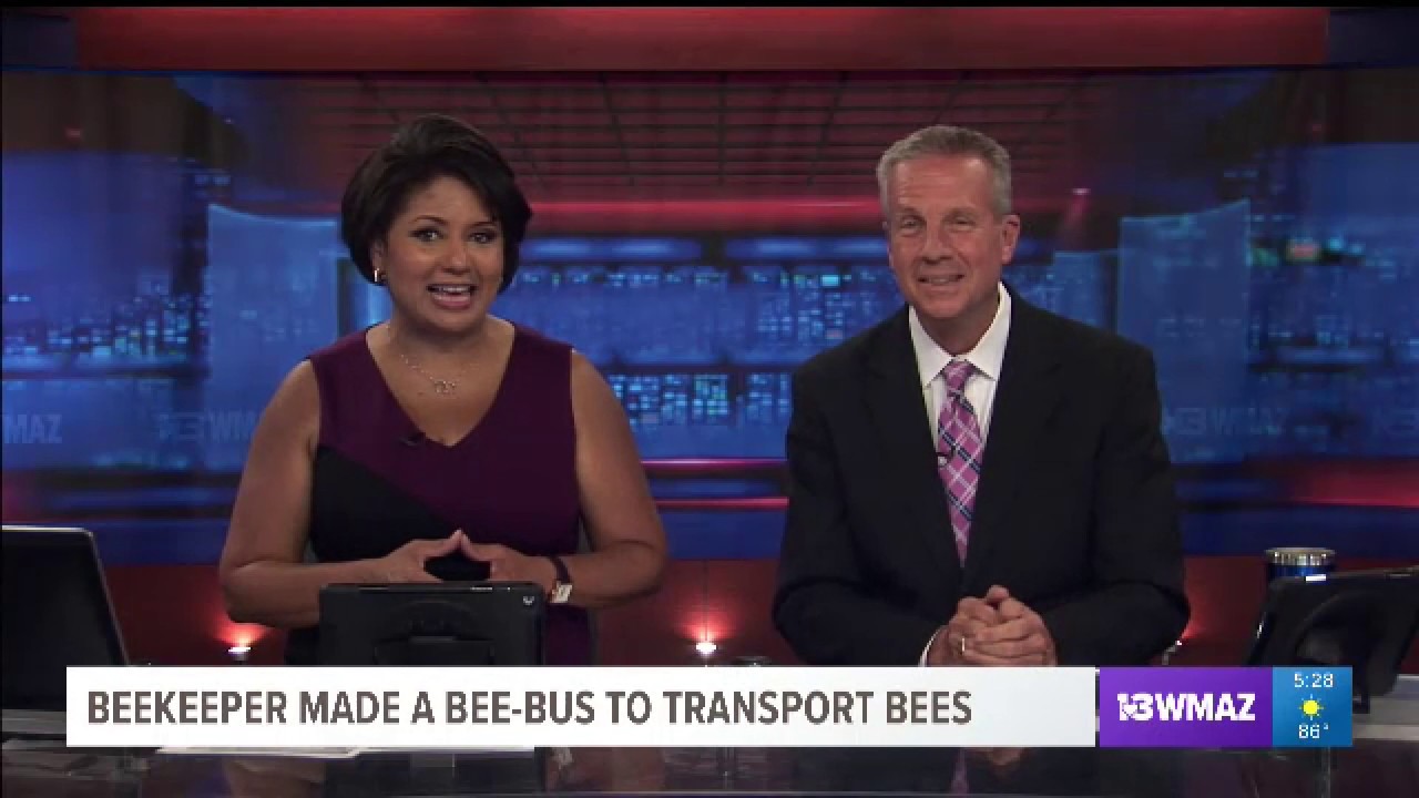 13WMAZ News at 5 PM April 18, 2018 - YouTube