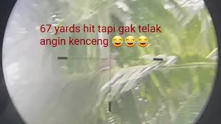 Berburu Tekukur Belajar Long Range