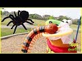 Bugs Hunting Giant Bugs at outdoor playground for kids!