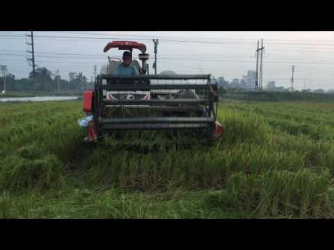 Video Máy cắt lúa (10p xong ruộng 2 sào) - youtube
