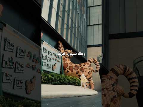 تابعوا فلوق قوانزو واذا خلصتوه علموني