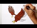 How to draw an eagle  how to draw a eagle easy step by step