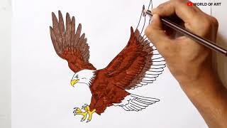 How To Draw An Eagle How To Draw A Eagle Easy Step By Step