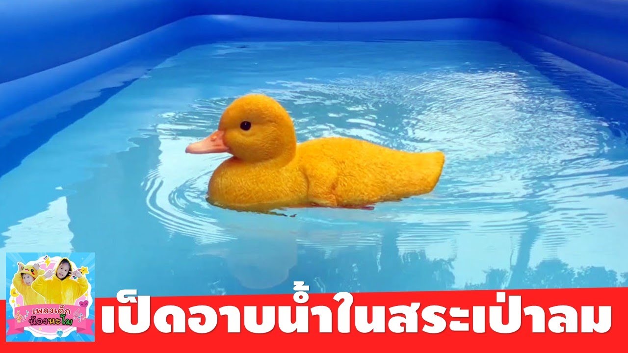 ก้าบ ก้าบ ก้าบ เป็ดอาบน้ำ (ในสระเป่าลม) | รีวิว เป็ด บังคับรีโมท พรีออร์เดอร์จากจีน เหมือนจริงมาก