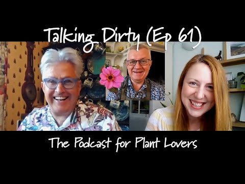 Claus Dalby on Containers, Companion Plants for Dahlias and Lime Foliage Love (Talking Dirty, Ep 61)