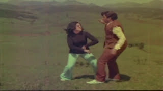 Eduruleni Manishi Movie Kasigaa Undhi Video Song Ntr,Vanisree