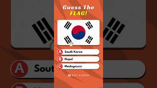 Ultimate Flag Quiz (Ep. 06) #guessthecountry #quizdaemon #shorts screenshot 5