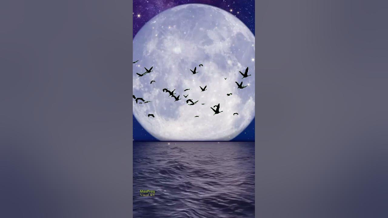 All background moon png🌚💫
