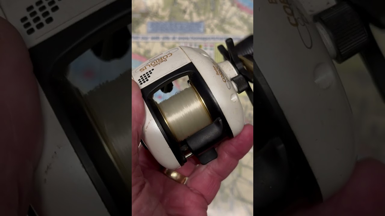 best redfish fly reels 4 Best Fly Fishing Reels Redfish