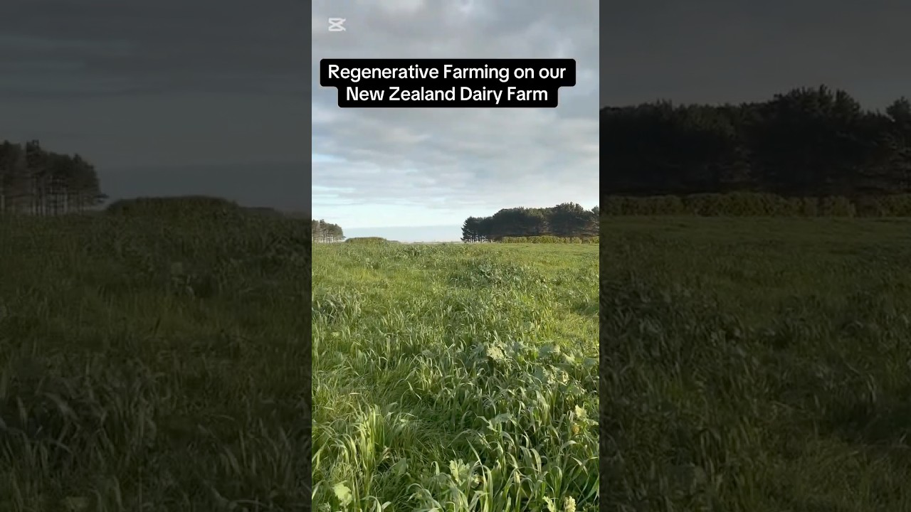 #nzfarming
