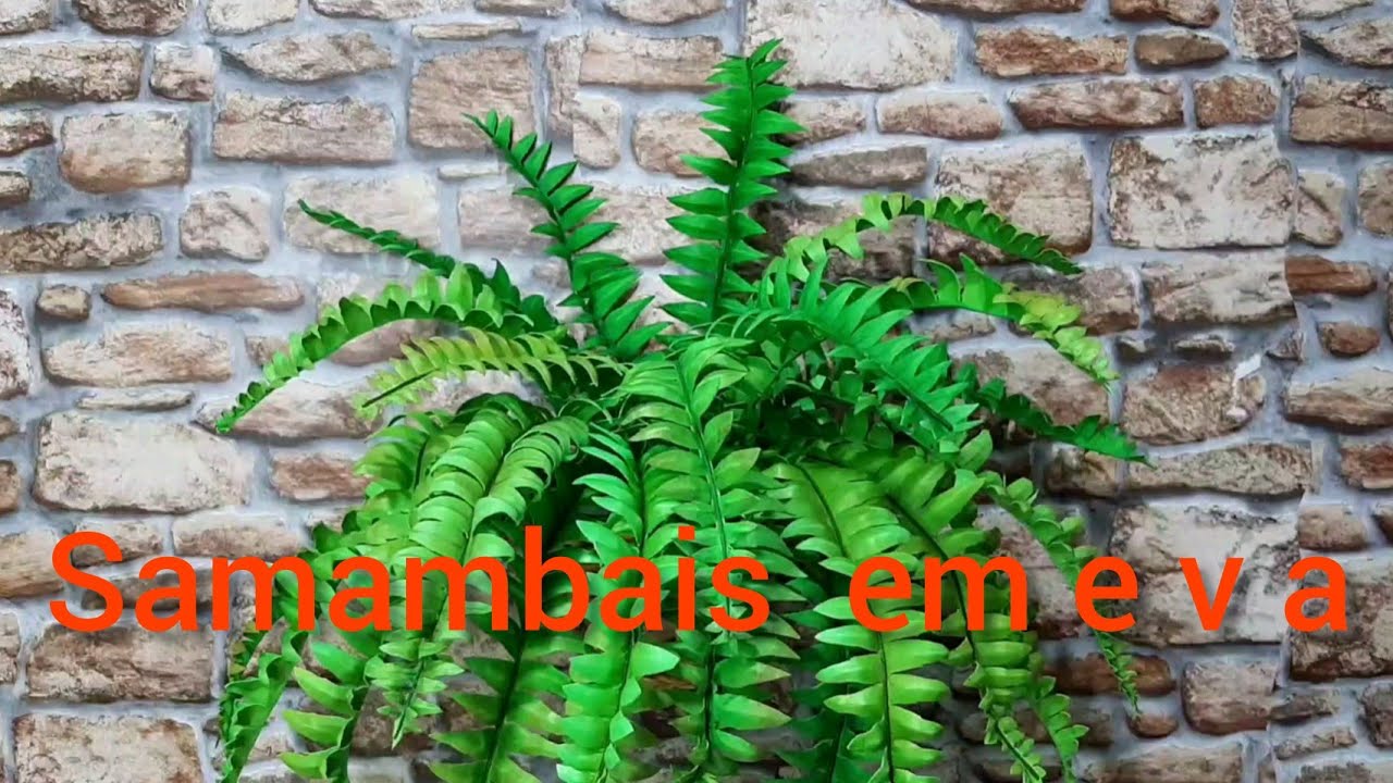 Samambaia sem frisador,com realismo e sem frisador..