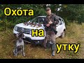 Охота  на утку с подхода! Duck Hunting!  мр - 155 снова не подвело , делаю первую норму по утке !