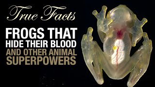 True Facts: The Science of Real-Life SuperPowers