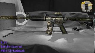 M4A1-S  Flashback Wear/Float