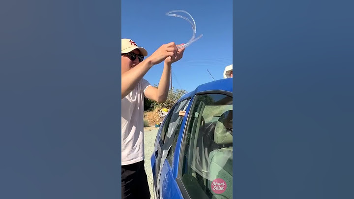 SAVE THE DOGGY! 😭 It's Too Hot In The Car! ☀️ What Will They Do?