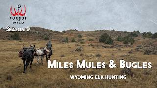 Miles, Mules & Bugles – Wyoming Elk Hunting