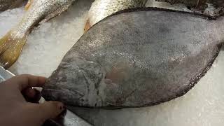 Ikan Sebelah, Ikan Mata Satu