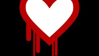 Heartbleed Demonstration with Forward Secrecy Wealth