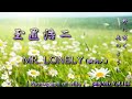 玉置浩二 - MR. LONELY (歌詞入) - Photograph of Mifo / βillyMix.Vol.164