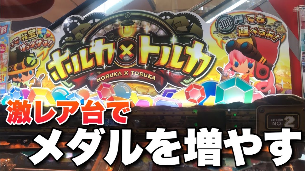 レア機種 メダル100枚で何枚増やせれるか ホルカトルカ編 メダルゲーム Youtube