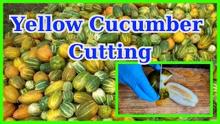 Yellow Cucumber Cutting Skill 🍐 #fypシ #fruit #fruitcuttingskills #foryou