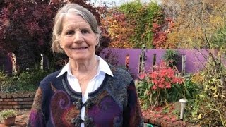 Sr. Stanislaus Kennedy's death reported on RTÉ News (3rd November 2025)