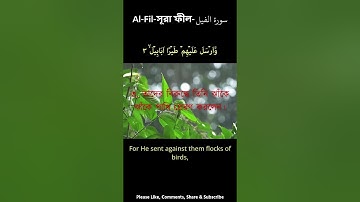 Al-Fil-সূরা ফীল- سورة الفيل #IslamicPandemic