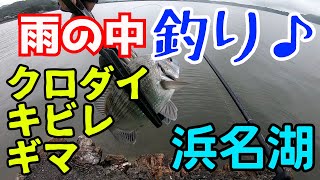 雨の浜名湖で釣りました♪