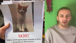 Кот Твикс погиб! Петиция против проводницы которая выбросила кота на мороз!