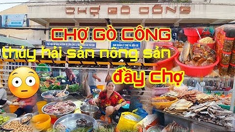Chợ GÒ CÔNG thủy hải sản nông sản đầy chợ bà con buôn bán náo nhiệt | minh bụi channel #chogocong