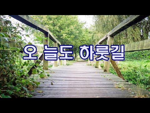 오늘도 하룻길 나그네 길을 박수영로뎀나무ccm Broom Tree