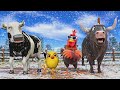 El Pollito pío 3d | El toro se congela jugando en el juegodel Toro y el Tractor 3D🎶