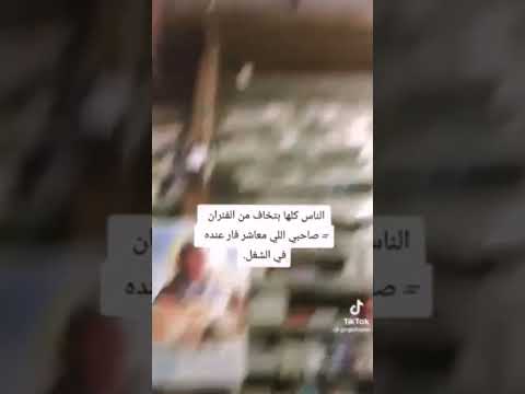 مربي فار في الصيدلية صيدلة