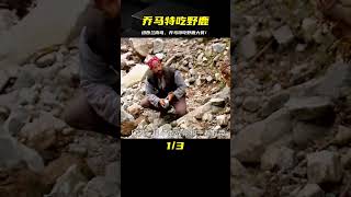 從野外帶回來的美味！喬馬特在紐西蘭南島吃上了野鹿肉大餐，味道太棒了！ #荒野求生 #荒野独居 #求生挑战 #生存挑战 #荒野