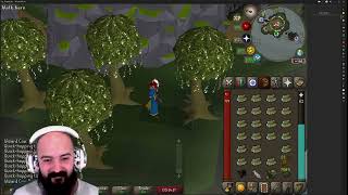 SOLO Forestry Guide: 6.3k Bark/hr | 90k Woodcutting Exp/hr Lazy Method