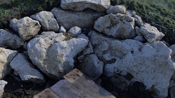 Photogrammetry in the Garden