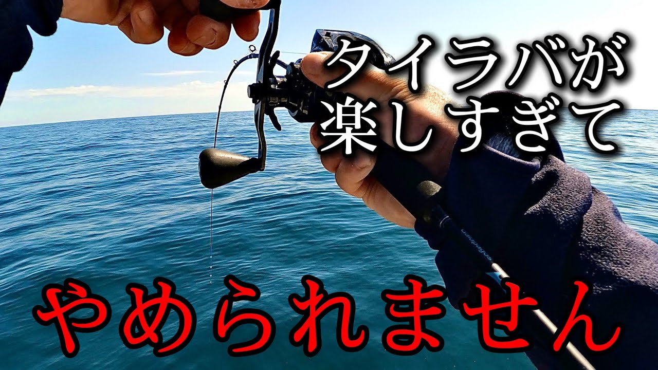 タイラバ | 香川県の鯛カブラ・鯛ラバ（タイラバ）船 ワンピースの釣果情報