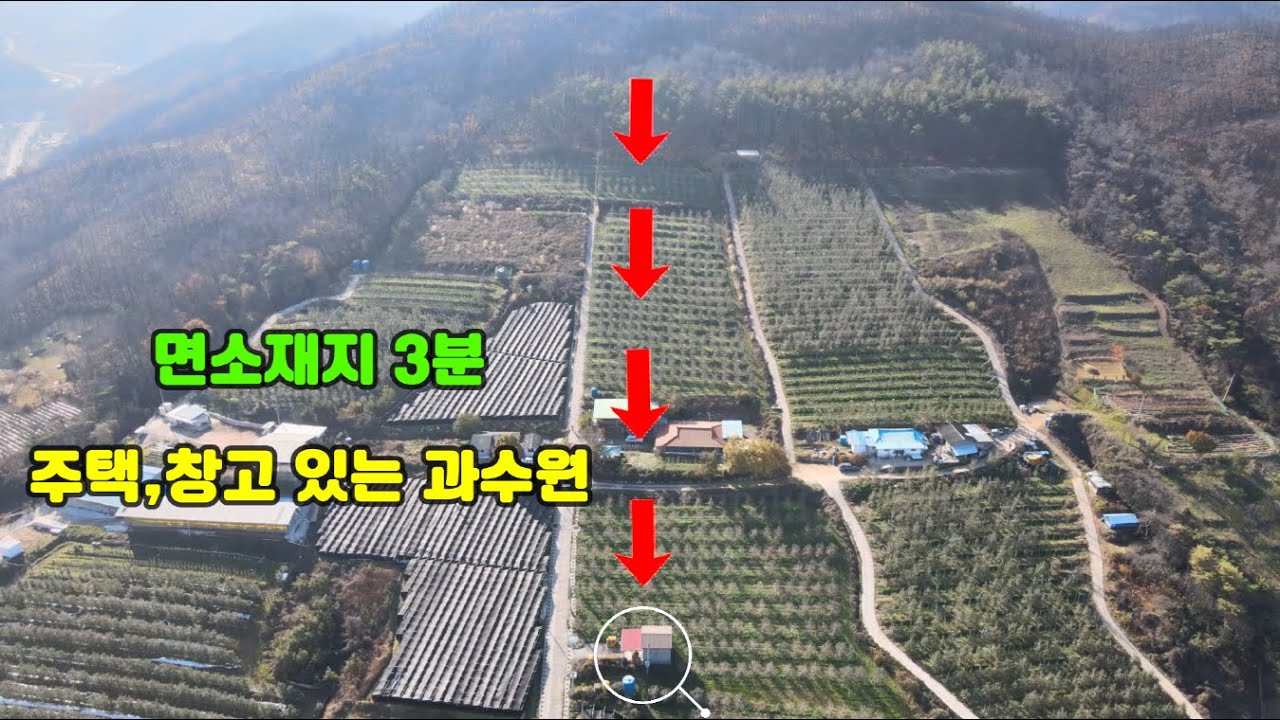 매물번호 509) 면소재지 3분 주택 ,창고 있는 사과과수원