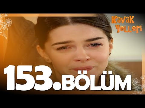 Kavak Yelleri 153. Bölüm - FULL Bölüm