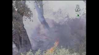 Feux De Forêt À Jijel Texenna