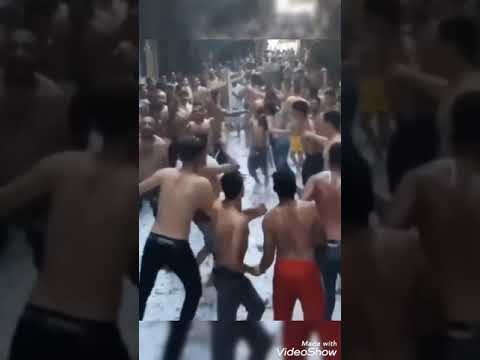 مولد سيدي العريان