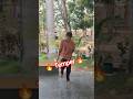 Temper 🔥🔥 Dancing raja 🦁🦁#trending #ytshorts #reels