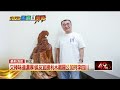 國民黨與地方選戰布局升溫，涉及新北、台東、台北與新竹縣