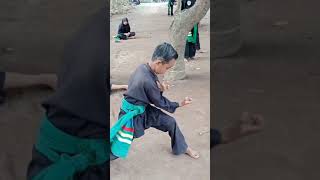 BOCIL LATIHAN SILAT HARIMAU@pagarnusarantingsukowono