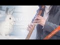 My Country Home / Furusato / Native American Style Flute Cover