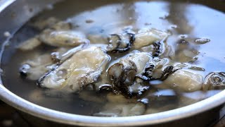 冬の味覚カキの初出荷