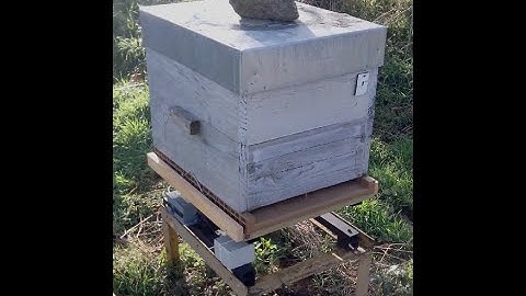 Beehive Monitoring and Tracking