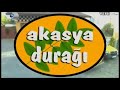 Akasya Duragi Üçkağitici Sinan Kaya Müzigi