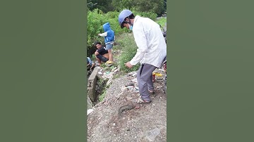 Đi câu cá, lên cá nè nha , #fishing  #diy #kinhdoanh